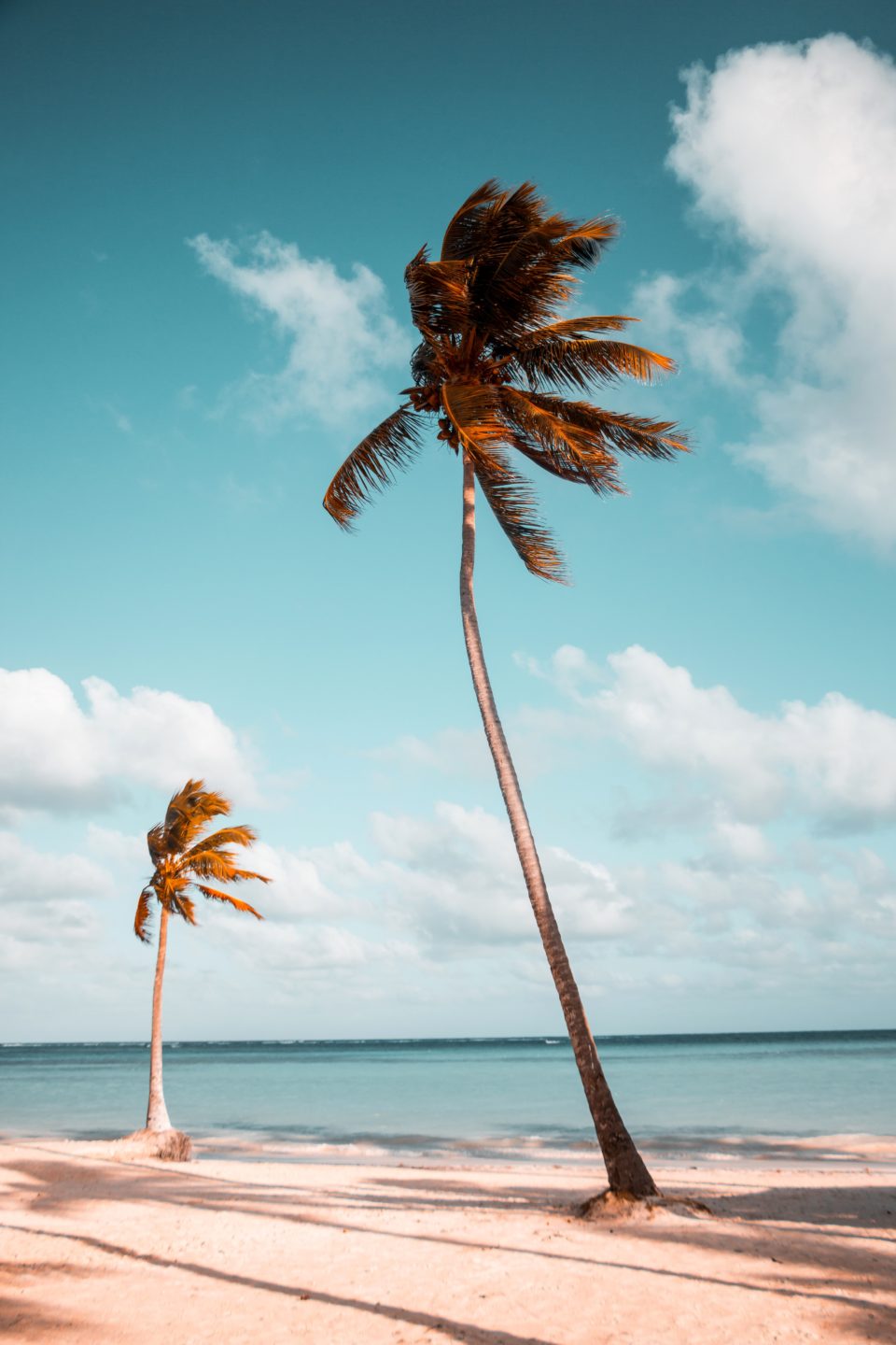 What Happens To Vacation When An Employee Is On A Leave Employment