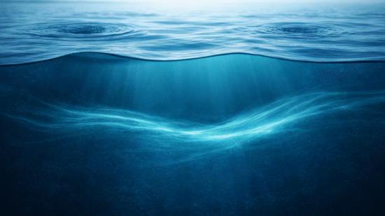 Hidden Risks Beneath RSU Termination Clauses